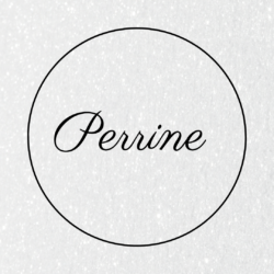 perrineformationsonglesetcils.fr